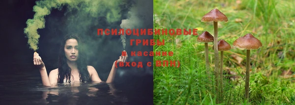 дурь Арсеньев