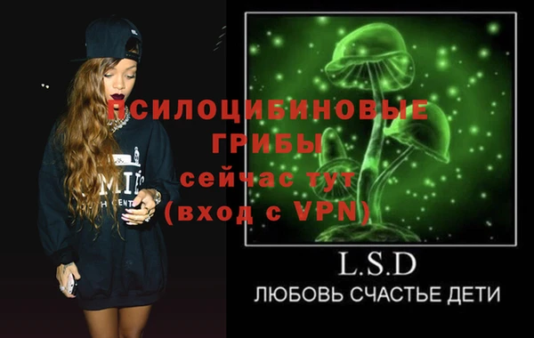 дурь Арсеньев