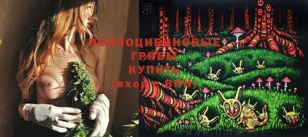 не бодяженный Алзамай